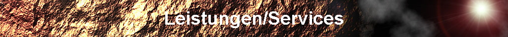 Leistungen/Services