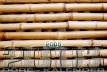 Bambusgitter_50x75-3626x2422 Kopie