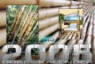 Bambusgitter_Colage02-50x75-3626x2422 Kopie