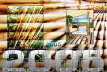 Bambusgitter_Colage50x75-3626x2422 Kopie