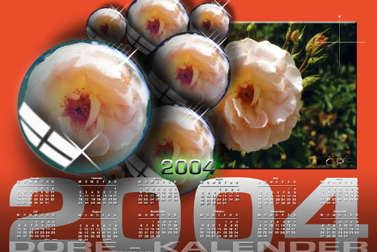 Buschrose Kopie