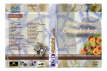 DVD-Cover- unsere Traumhochzeit Kopie