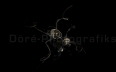 Doere-010-Apophysis-080403-301 Kopie