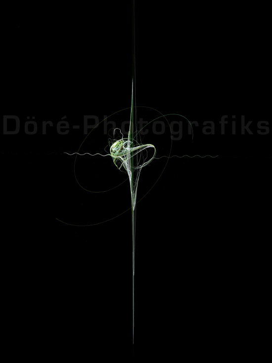 Doere-0999-Apophysis-080403-301 Kopie
