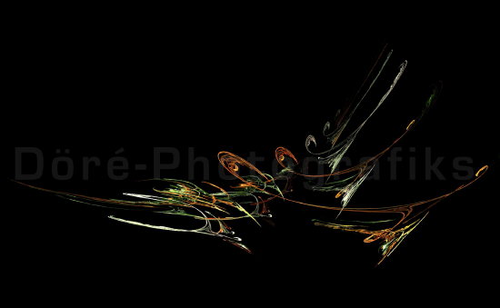D�ere-Rippen Kopie