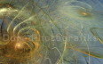 D�ere-Spiralize02 Kopie