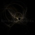 Doere04-Apophysis-080403-201 Kopie