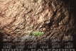Kalender04_Mars
