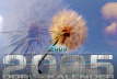 Riesen-Pusteblume_50x75-3626x2422 Kopie
