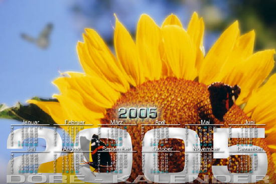 Sonnenblumen02_50x75-3626x2422 Kopie