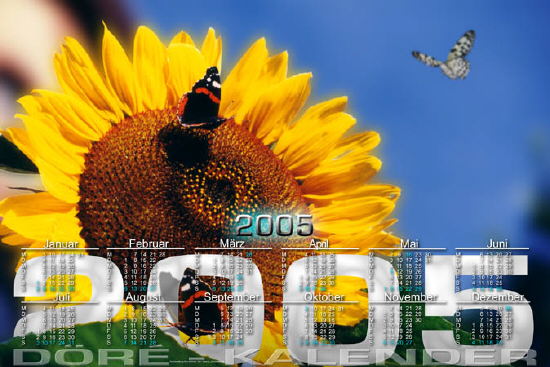 Sonnenblumen03_50x75-3626x2422 Kopie