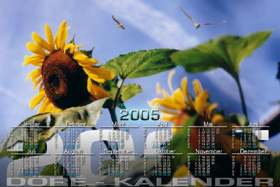 Sonnenblumen_50x75-3626x2422 Kopie