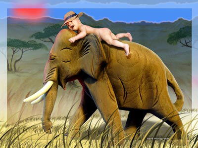 Tom-und-der-Elefant-Kopie