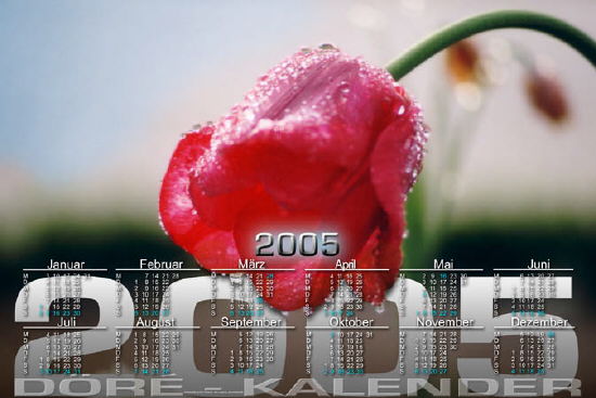 Tulpe-Wasserperlen_50x75-3626x2422 Kopie