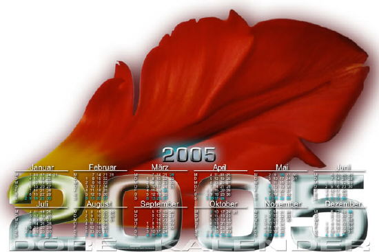 Tulpenblatt_50x75-3626x2422 Kopie